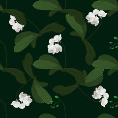 Orchid seamless pattern