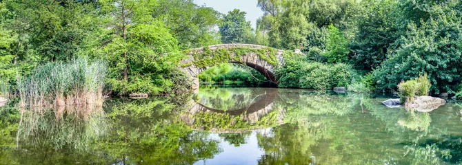 Poster Gapstow bridge with greenery in Central Park
