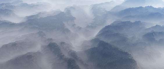 Aerial of mountain landscape with fir trees in mist.