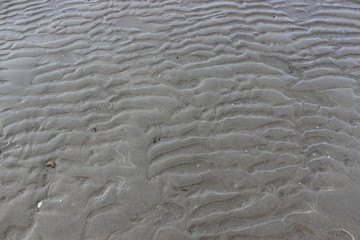 Ebbe
