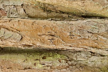 rock background texture