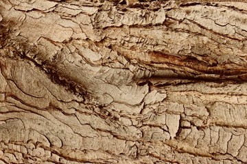 old wood texture, antika color