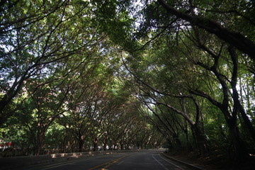 Fototapeta premium China 