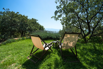 beach chairs and meadow