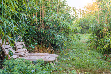 Two lounge chairs in the greenery. Bamboo, sunlight