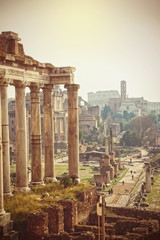 Obraz premium View of the Roman Forum in Rome, Italy