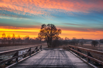 Fototapeta premium Sunrise over the wooden bridge and lonely tree near Piaseczno, Poland