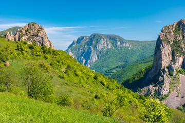 Naklejka premium beautiful landscape of romania mountains. huge cliffs of canyon. wonderful nature scenery. sunny weather in springtime