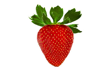 Single isolated strawberry