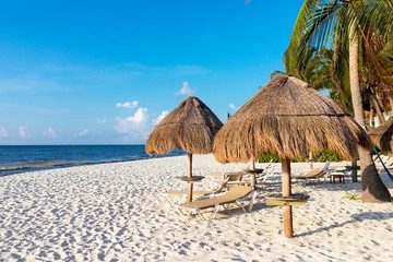 Sunloungers or sun beds under thatched parasols laid out a luxury tropical beach with palm trees along the Caribbean coastline Quintana Roo in the Yucatán Peninsula in Mexico.