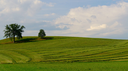Green landscape in Bavaria, germany