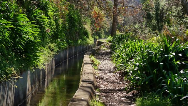 Levada  dos Tornos, Madeira. Beautiful footpath in spring sunlight.
