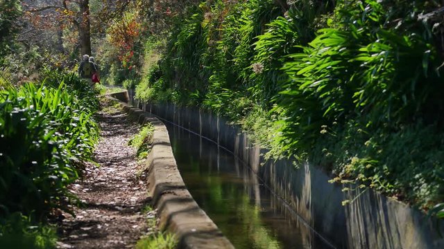 Levada  dos Tornos, Madeira. Beautiful footpath in spring sunlight.