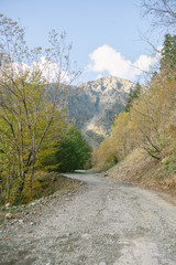 Fototapeta na wymiar road in mountains