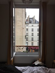 Paris room with a view