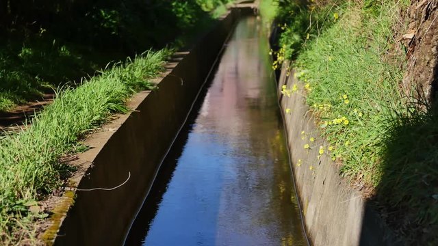 Levada  dos Tornos, Madeira. Beautiful footpath in spring sunlight.