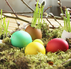 Spring eggs easter moss grass yellow pink green