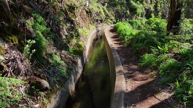 Levada  dos Tornos, Madeira. Beautiful footpath in spring sunlight.