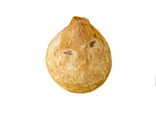 roasted coconut isolated on white background