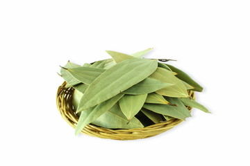 cinnamon leaves in white background