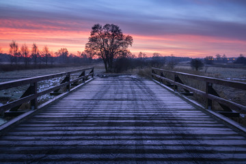 Dawn over the wooden bridge and lonely tree near Piaseczno, Poland