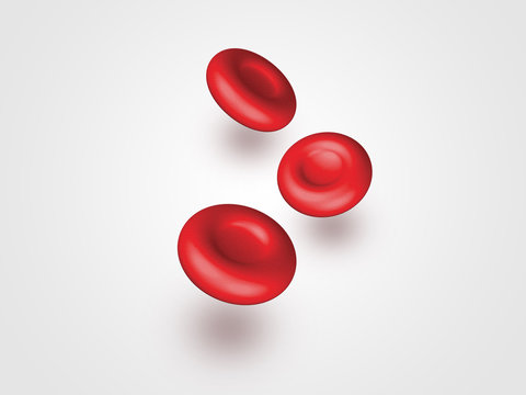 14 499 件の最適な 赤血球 画像 ストック写真 ベクター Adobe Stock