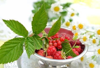 Fresh juicy berries of raspberry and currant