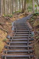 登山道