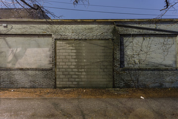 Bricked over back wall in alley covered in vines on foggy night