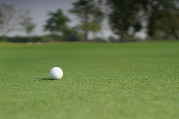 Golf ball on a green grass with blank copy space