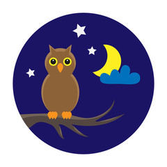 owl on night sky