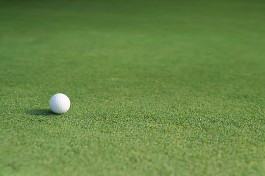 Golf ball on a green grass with blank copy space