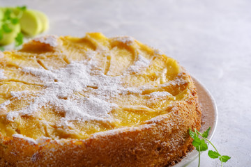 Fragrant charlotte with fresh apples and powdered sugar.