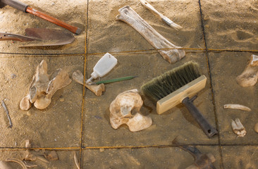 An antiquities excavation site. tools and exhibits found