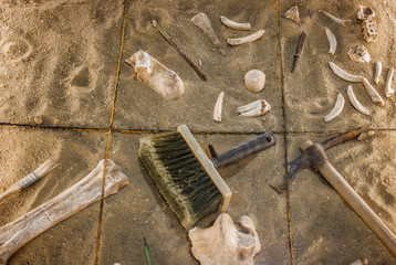 An antiquities excavation site. tools and exhibits found