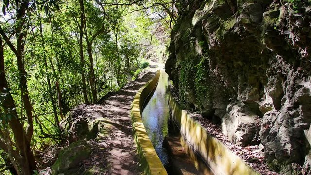 Levada  dos Tornos, Madeira. Beautiful footpath in spring sunlight.