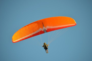 paraglider in the sky