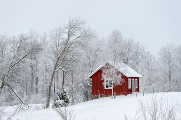 Barn in Scandinavian Winter Landscape