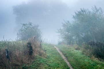 Obraz premium Wiesenpfad im Nebel