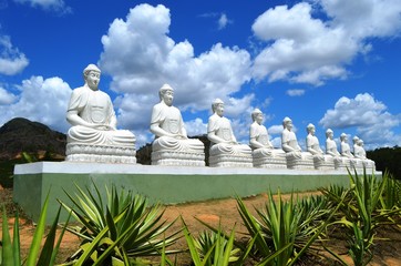 Namaste garden