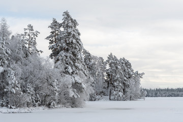 Scandinavian Winter Landscape