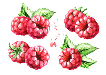 Ripe raspberries with green leaves set. Watercolor hand drawn illustration, isolated on white background