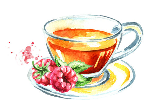 Health tea. Cup of tea with raspberries. Watercolor hand drawn illustration, isolated on white background