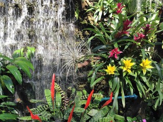 Fototapety  wodospad i kwiaty w ogrodzie