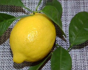  fresh lemon on the table