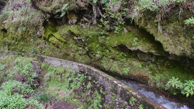 Levada  dos Tornos, Madeira. Beautiful footpath in spring sunlight.
