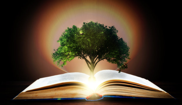 Book or tree of knowledge concept with tree growing from an open book