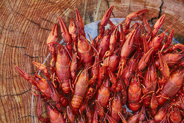 Crawfish cooked and served on wooden background