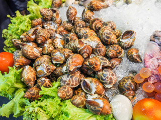 Fresh SeaFood Shellfish 