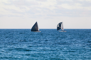 Yachts with blacks sails in the blue waters
